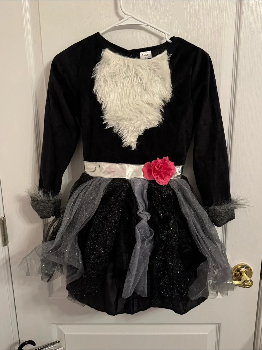 Spirit Raccoon Dress Kids Costume Size Large